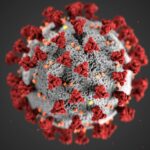 hpv nedir