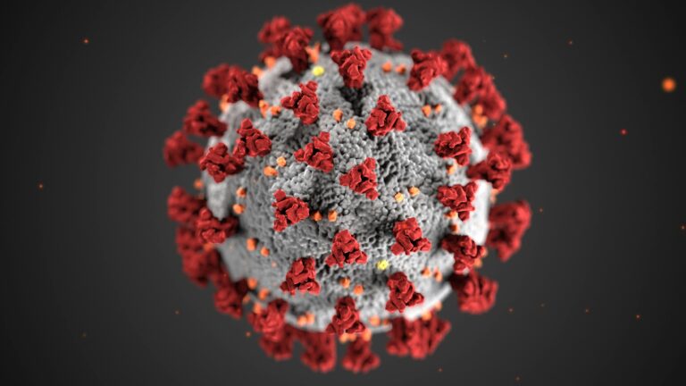 hpv nedir