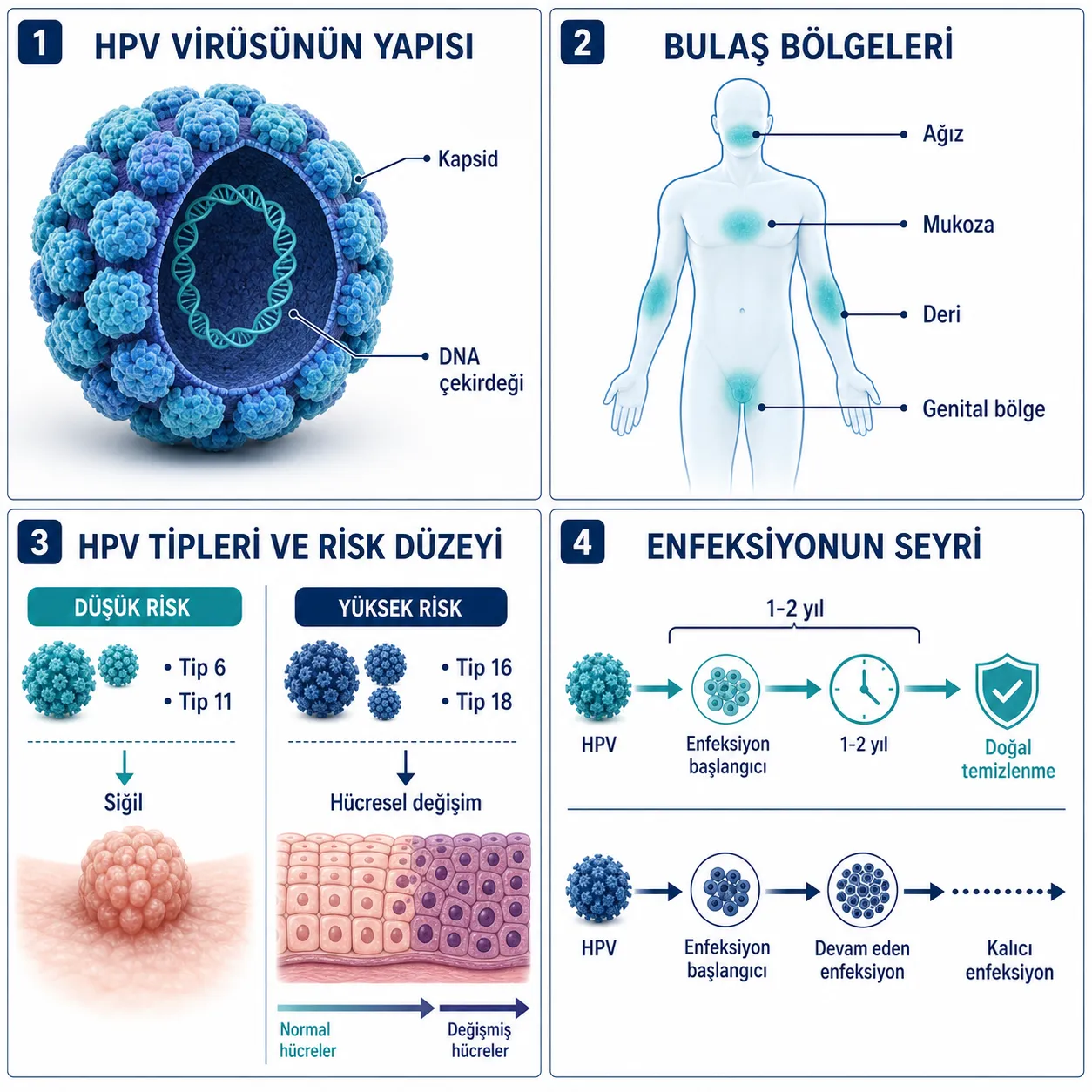 HPV Hastalığı Nedir ve Nasıl Bulaşır?