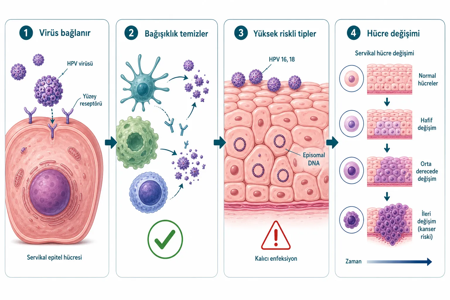 HPV'nin Belirtileri Nelerdir?