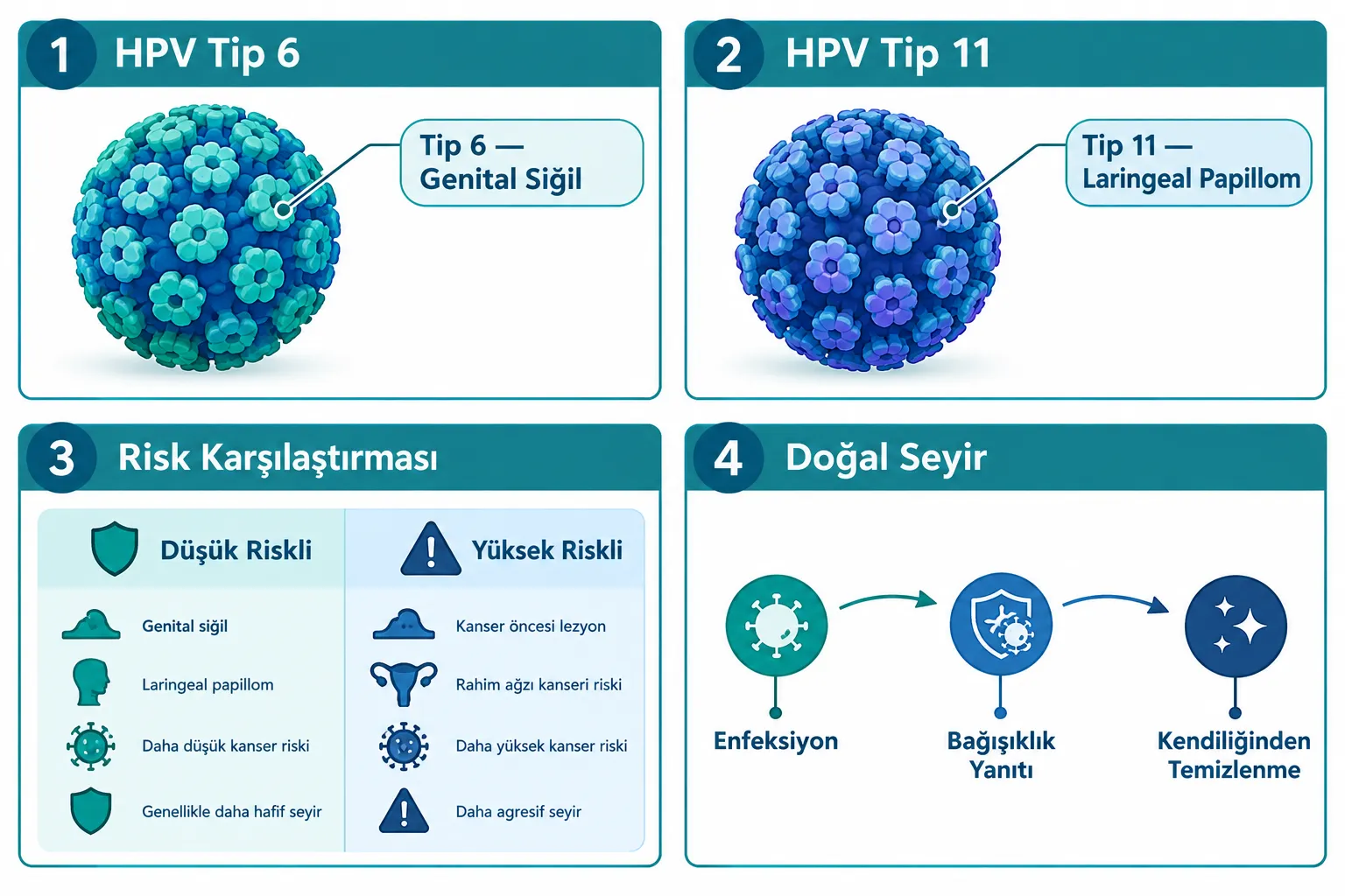 Düşük Riskli HPV Tipleri Hangileridir, Tam Liste