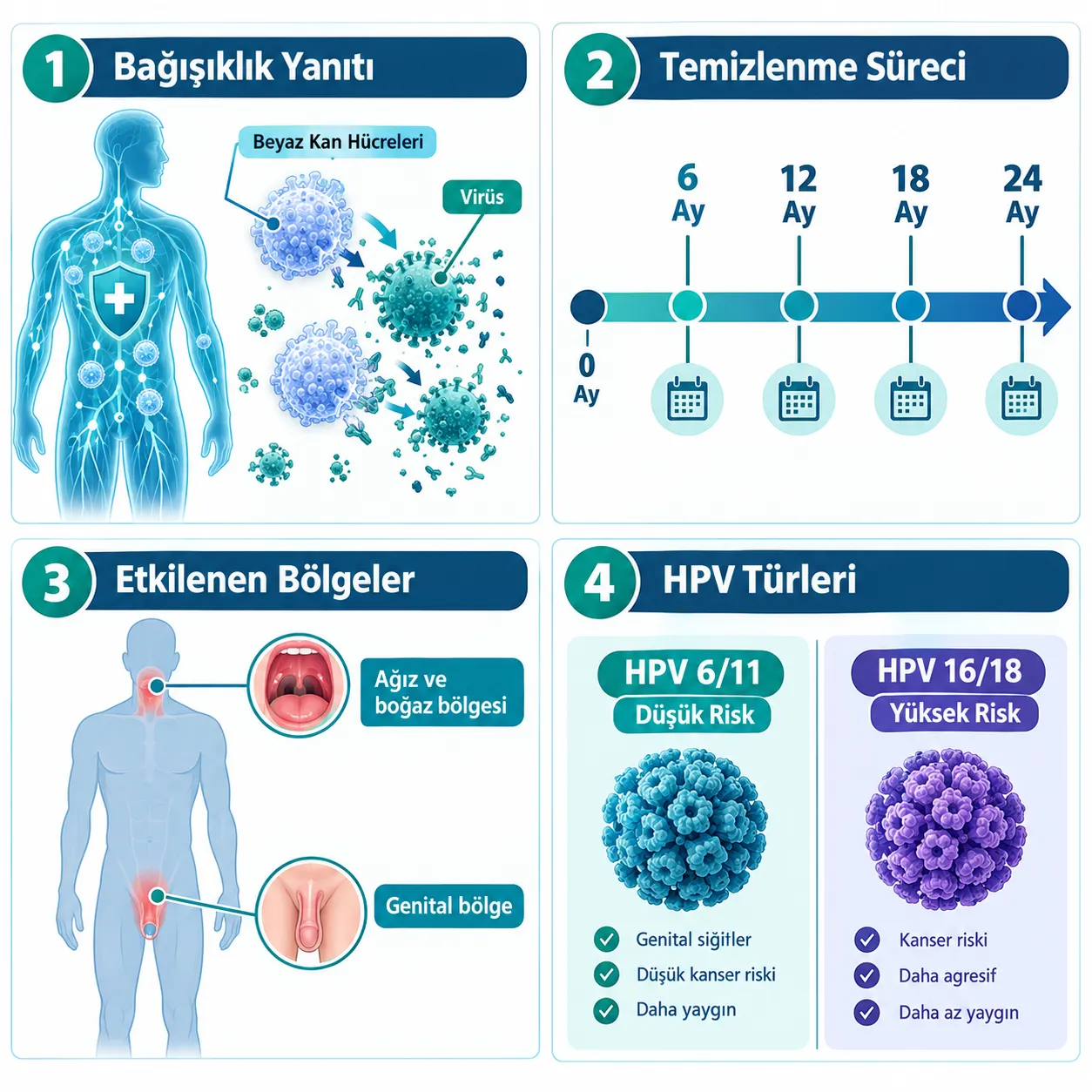Erkeklerde HPV Nedir ve Nasıl Bulaşır?
