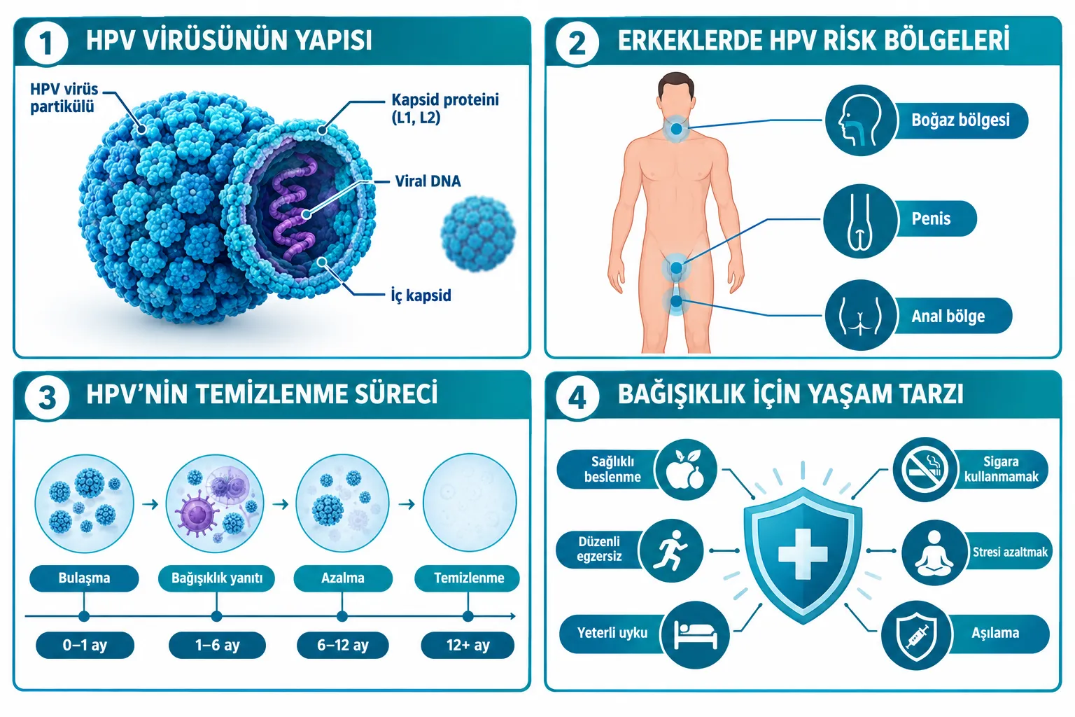 Erkekte HPV Nedir ve Nasıl Bulaşır?