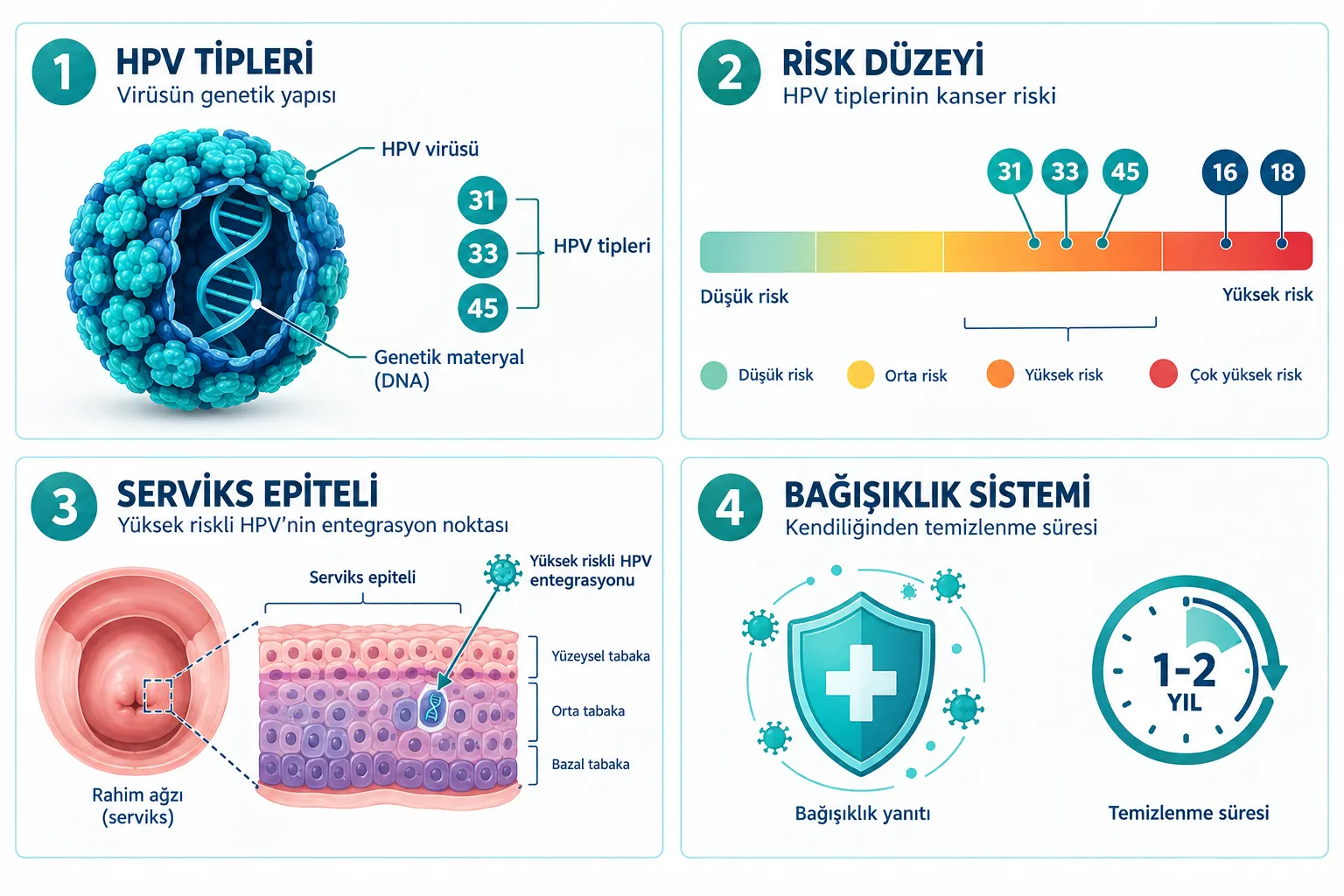 HPV 45, 31, 33 Pozitif Ne Anlama Gelir? Temel Kavramlar