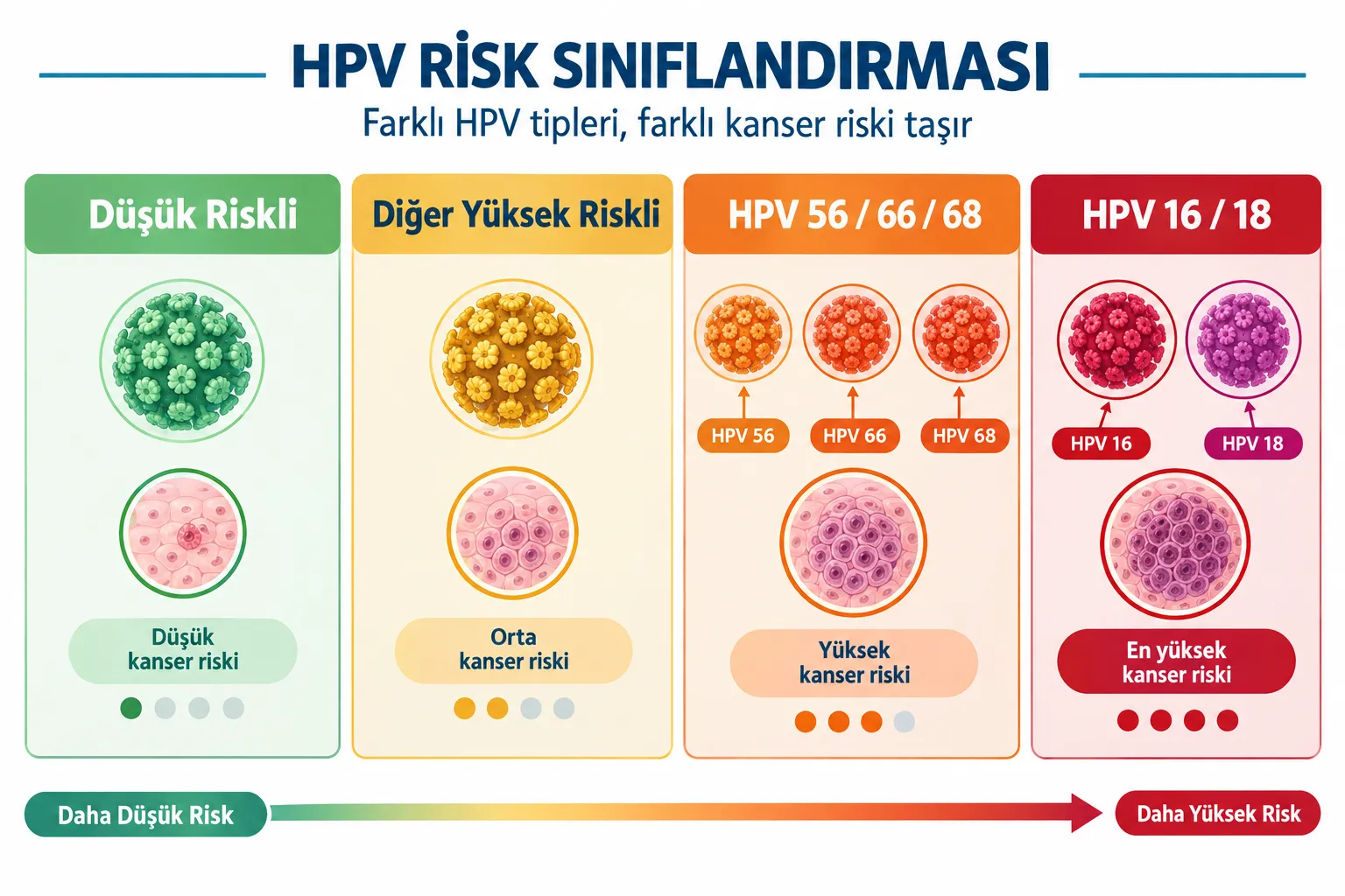 HPV 56, 66, 68 Nedir ve Nasıl Bulaşır?
