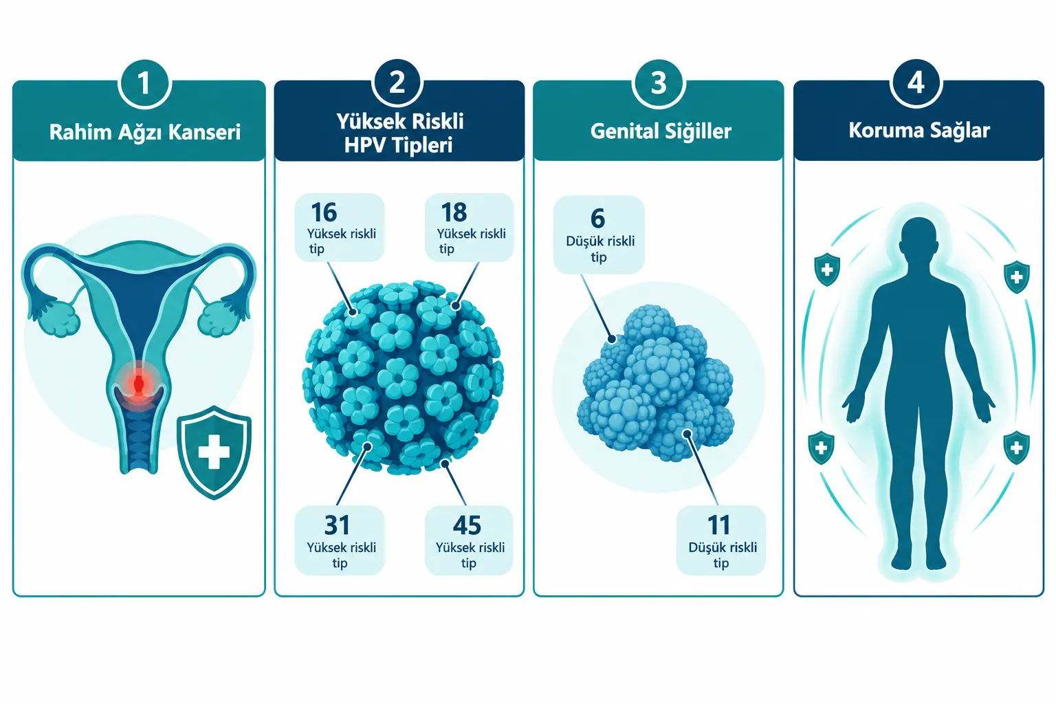 HPV Aşısı Neden Yapılır, Asıl Amacı Ne?