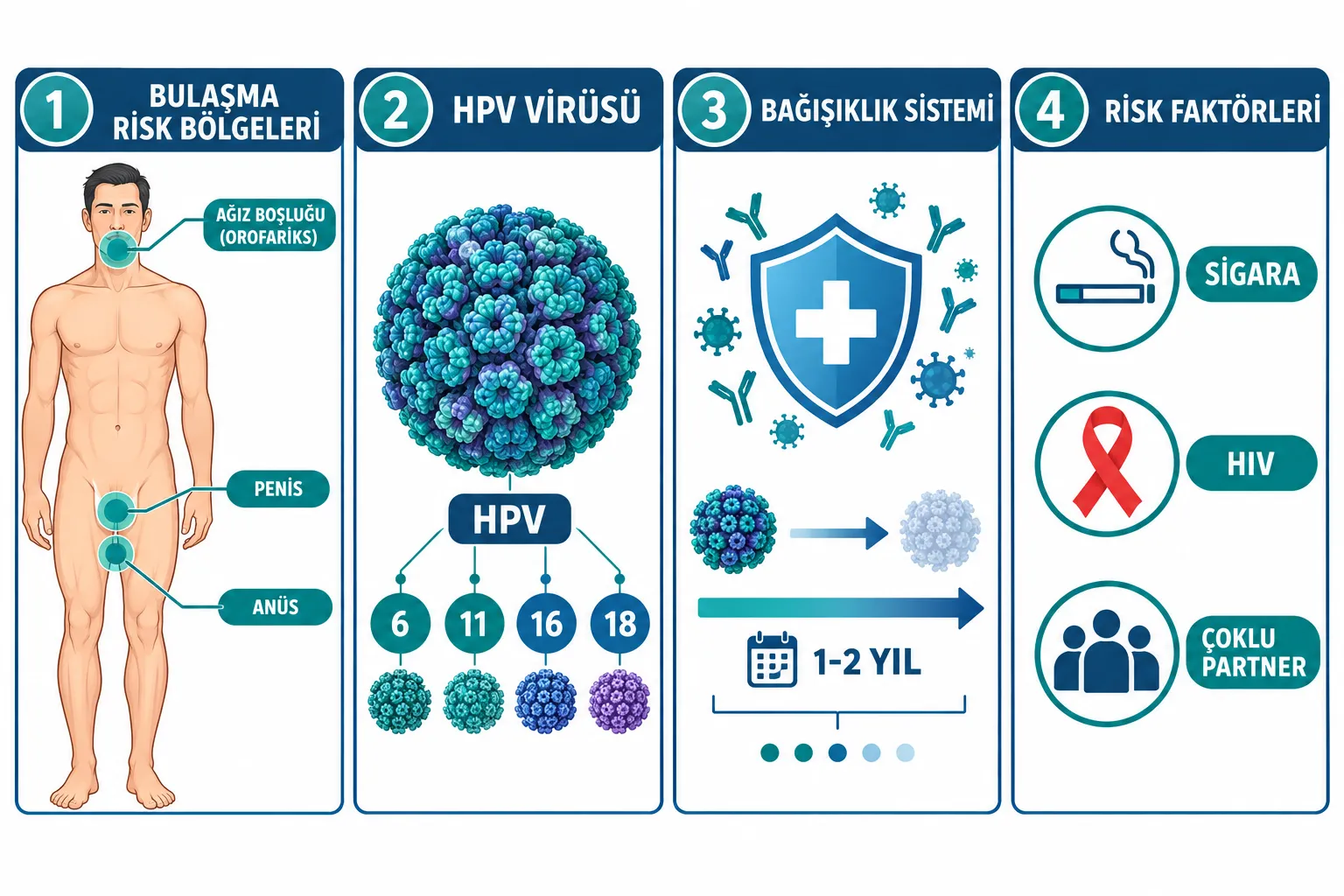 HPV Erkeklerde Gerçekten Görülür mü?