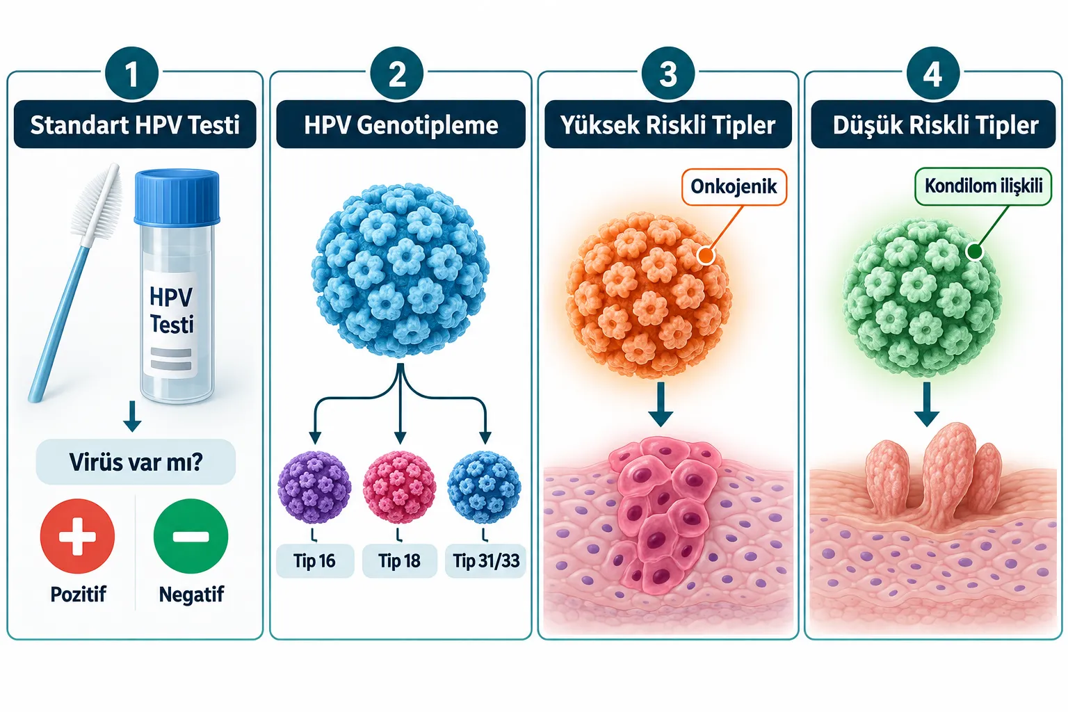 HPV Genotiplemesi Nedir, Tam Olarak Ne Ölçer?