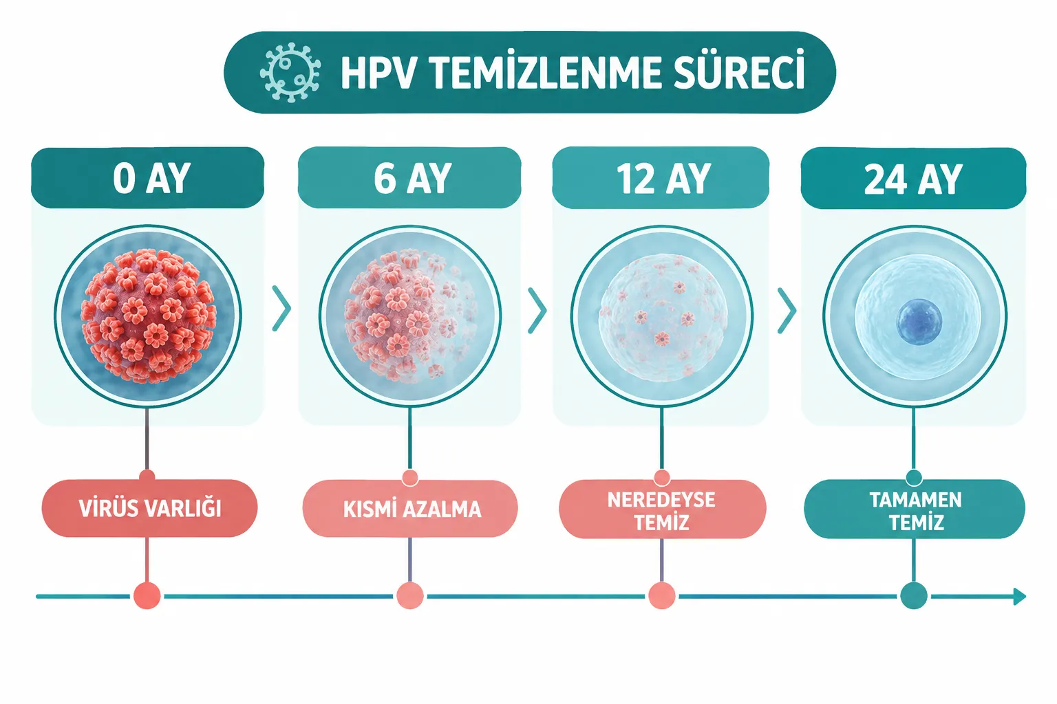 HPV Kendiliğinden Geçer mi?