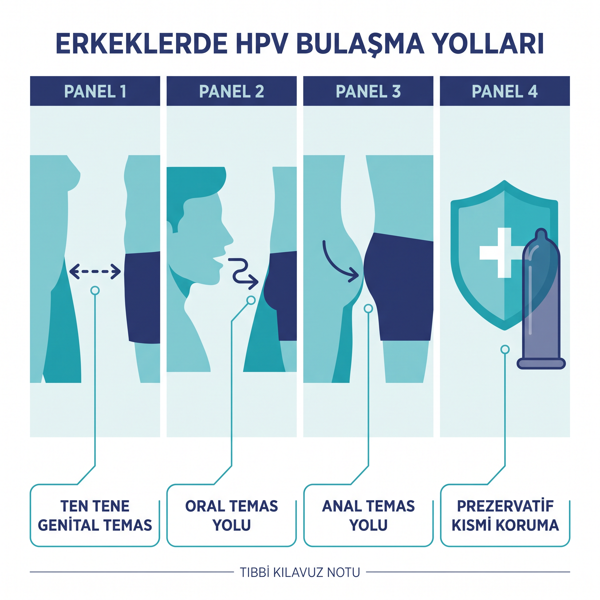 HPV Nedir ve Erkeklerde Nasıl Bulaşır?