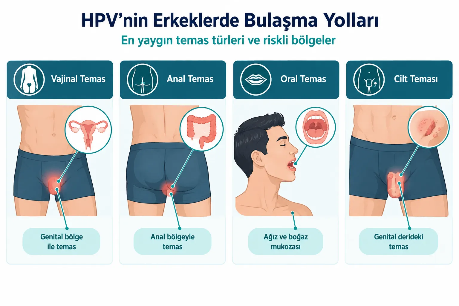 HPV Nedir ve Erkekleri Nasıl Etkiler?