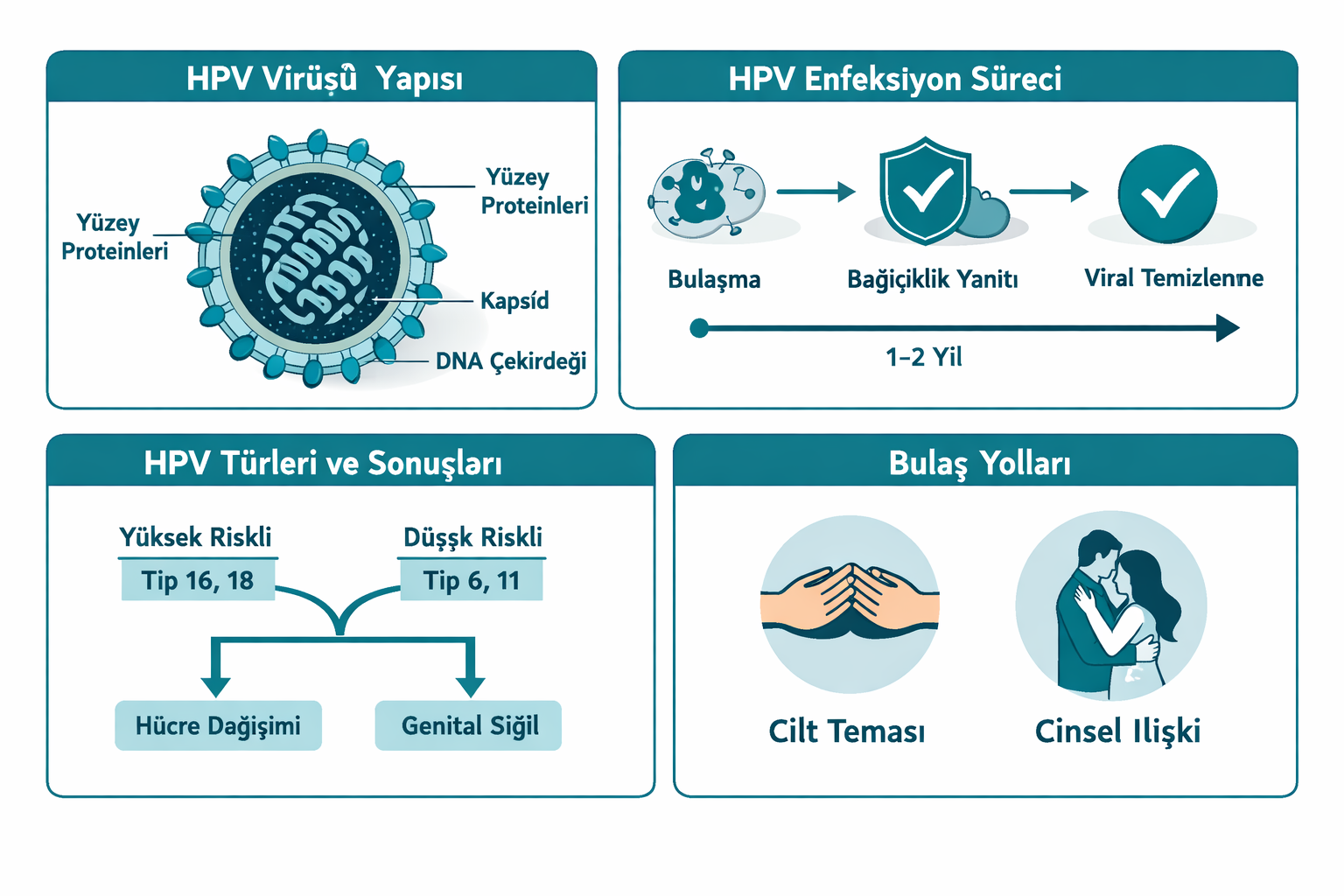 HPV Nedir ve Nasıl Bulaşır?