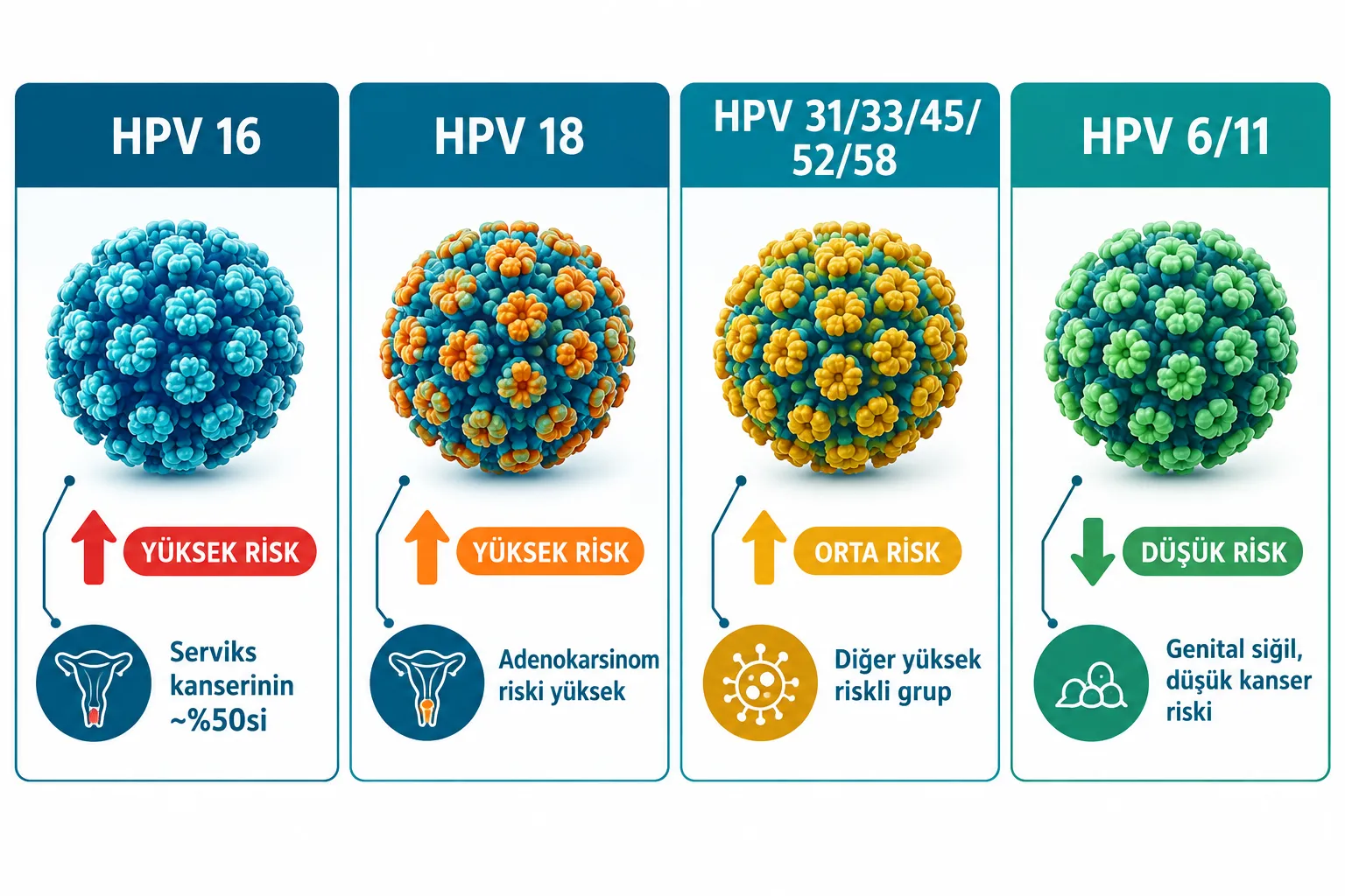 HPV Pozitif Çıktığında Hangi Tip Daha Önemli: 16 ve 18 mi, Yoksa Diğerleri mi?