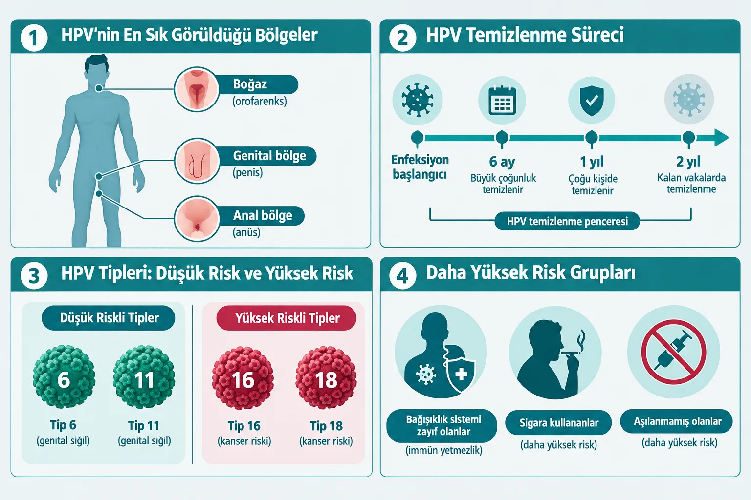 HPV Pozitif Sonuç Erkek İçin Ne Anlama Gelir?