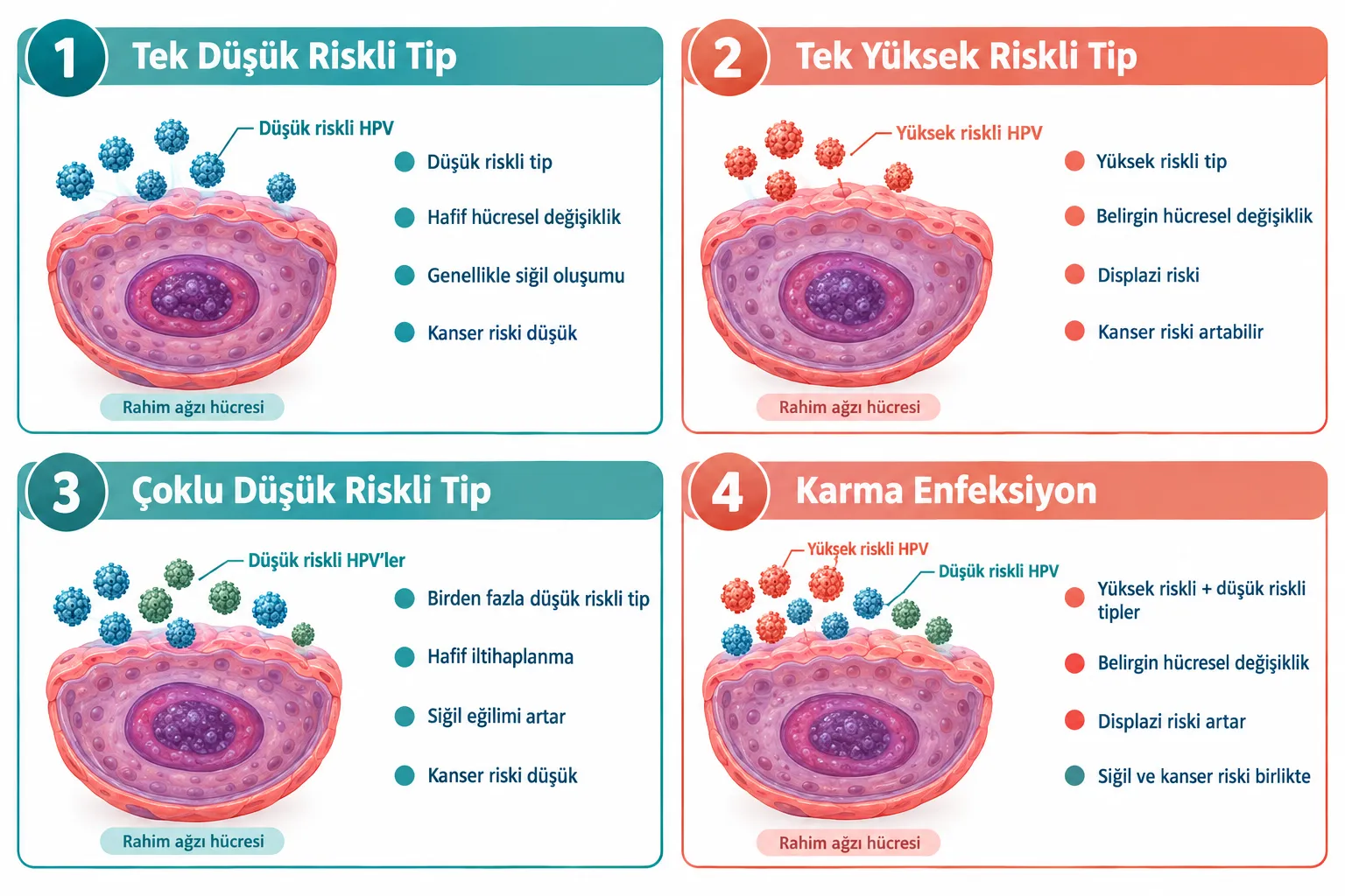 Ko-enfeksiyon Tam Olarak Ne Demek?