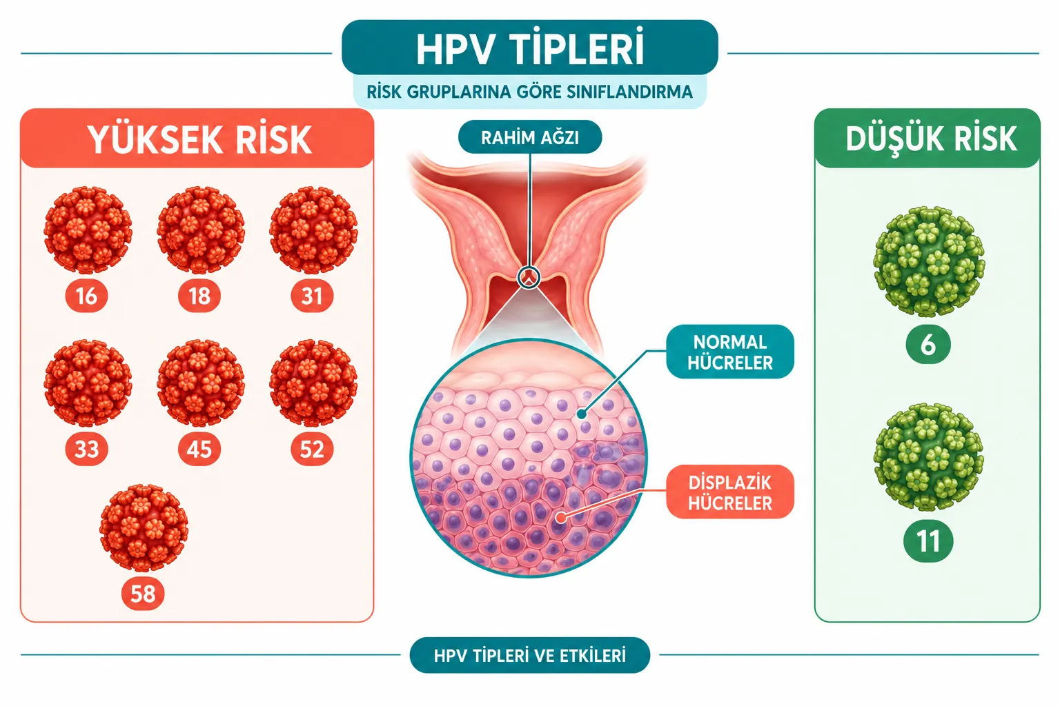 Yüksek Riskli HPV Tipleri Hangileridir ve Neden Tehlikelidir?