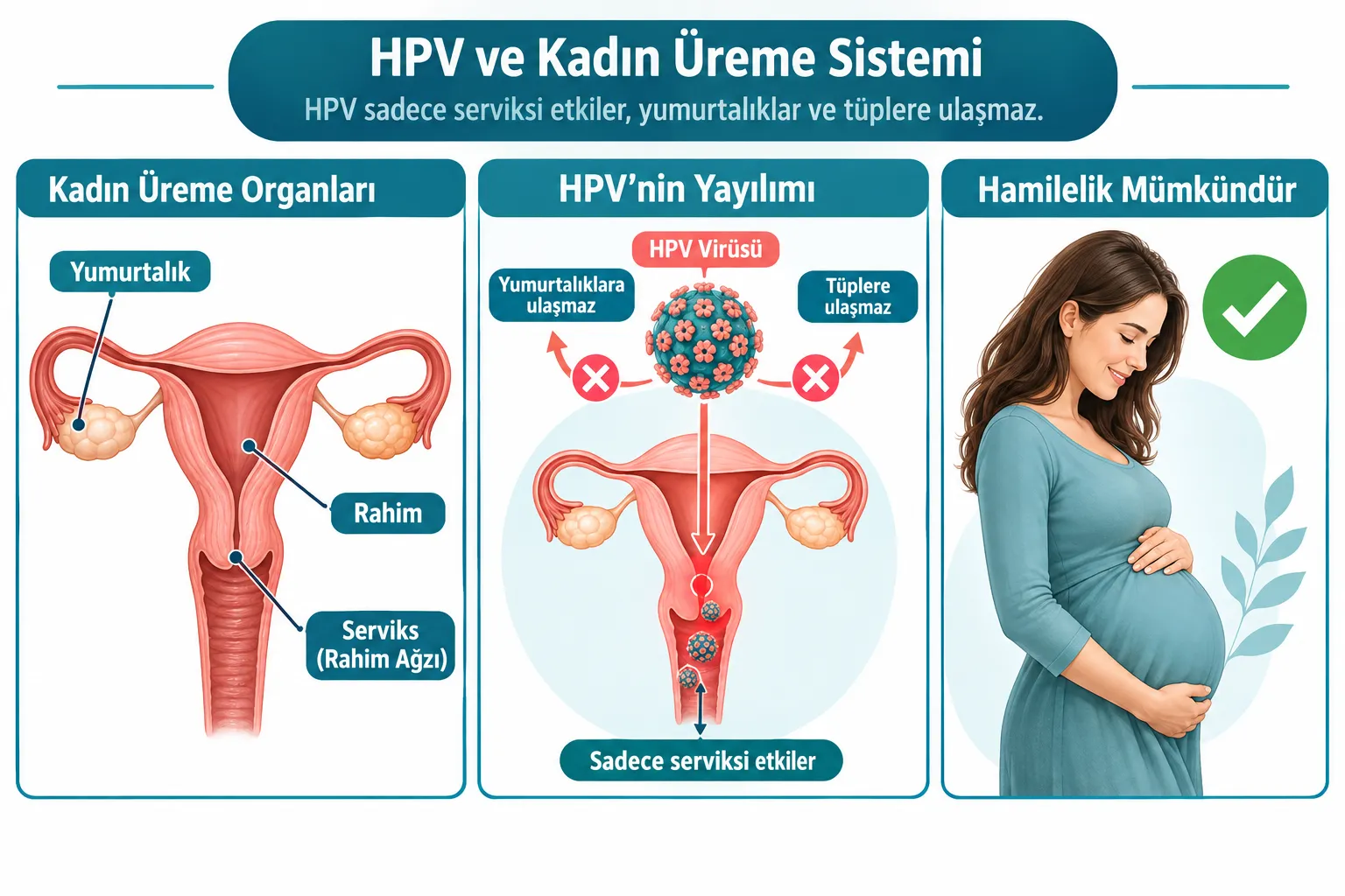 HPV Nedir ve Gebeliği Nasıl Etkiler?