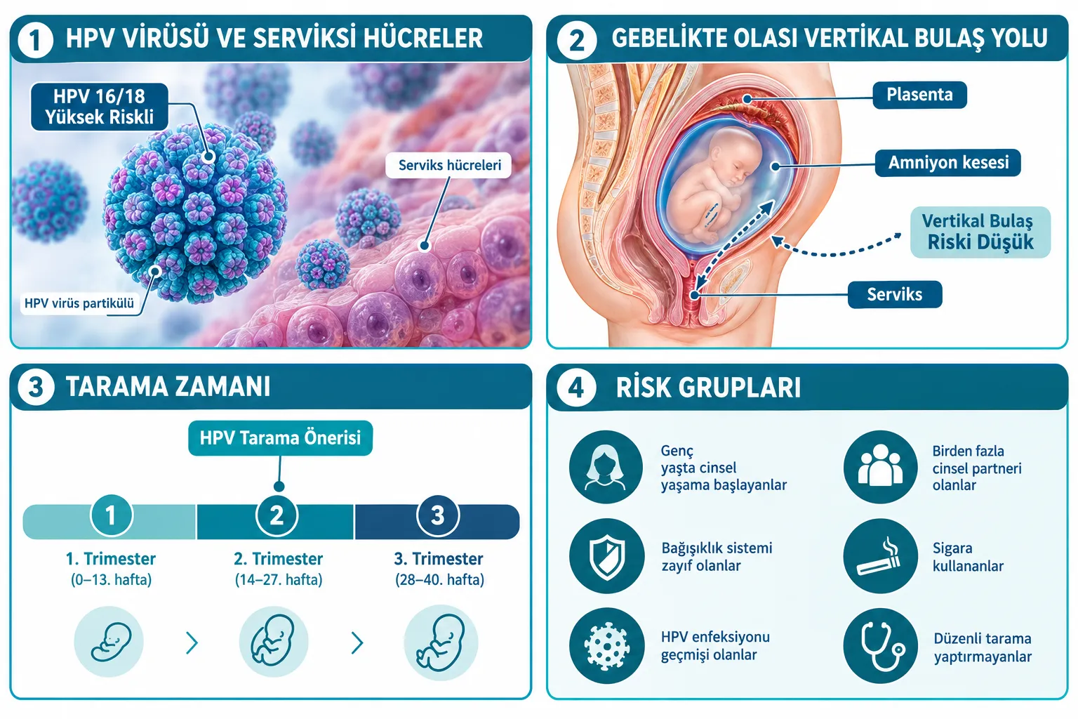 HPV Virüsü Nedir ve Hamilelikte Nasıl Bulaşır?